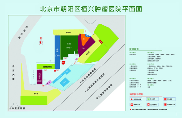 啊啊啊大鸡巴操的我好爽啊北京市朝阳区桓兴肿瘤医院平面图